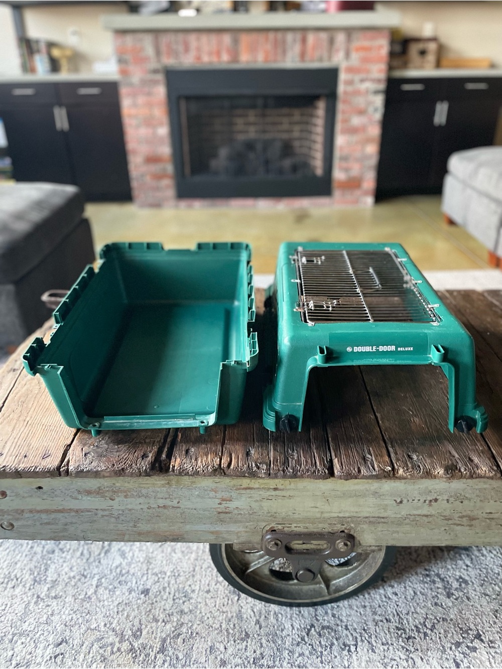 DOUBLE-DOOR Deluxe Pet Carrier in Teal Green - Cat Carrier - Small Dog Carrier - Picture 12 of 16